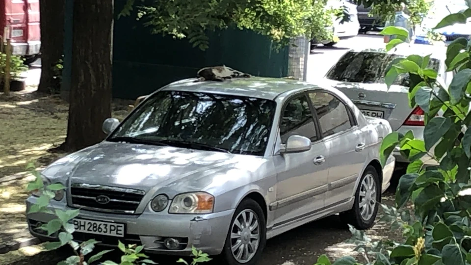 KIA Magentis Похмурий Маджик