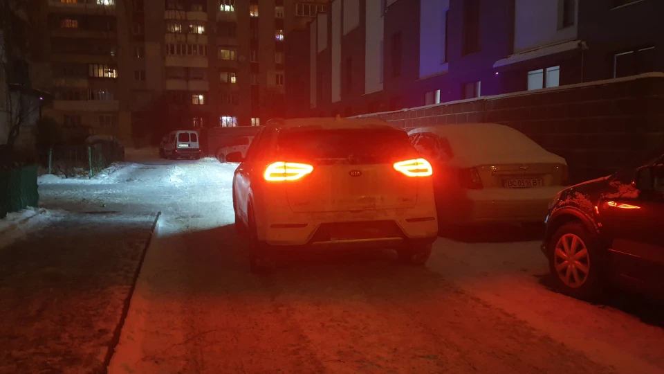 KIA Niro Біла Перлина 4