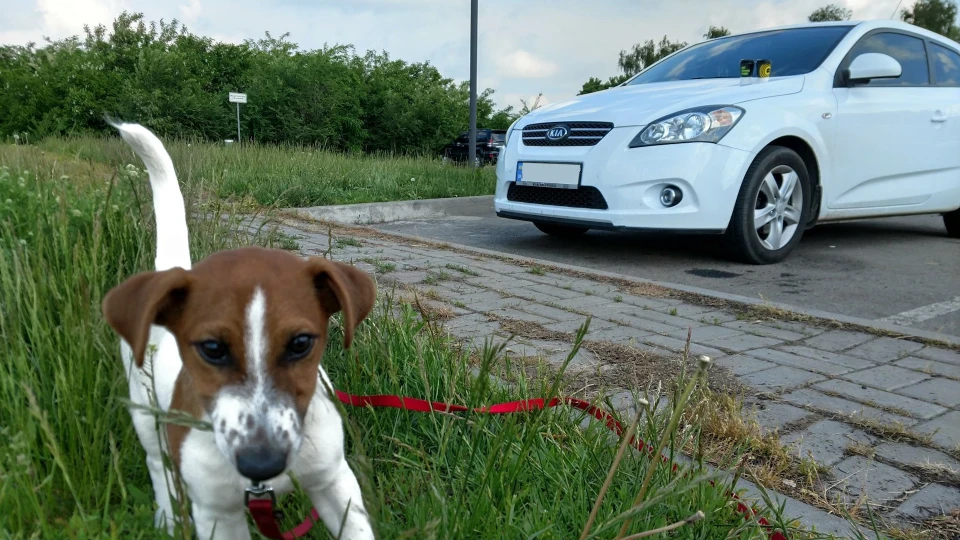 KIA Pro_Ceed 2.0