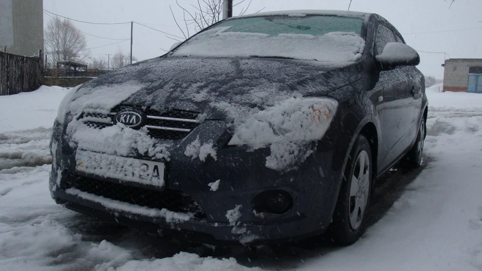 KIA Pro_Ceed Шиншилиус) 2