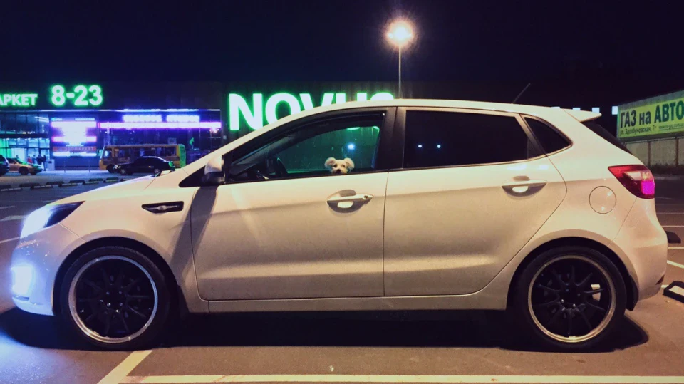 KIA Rio