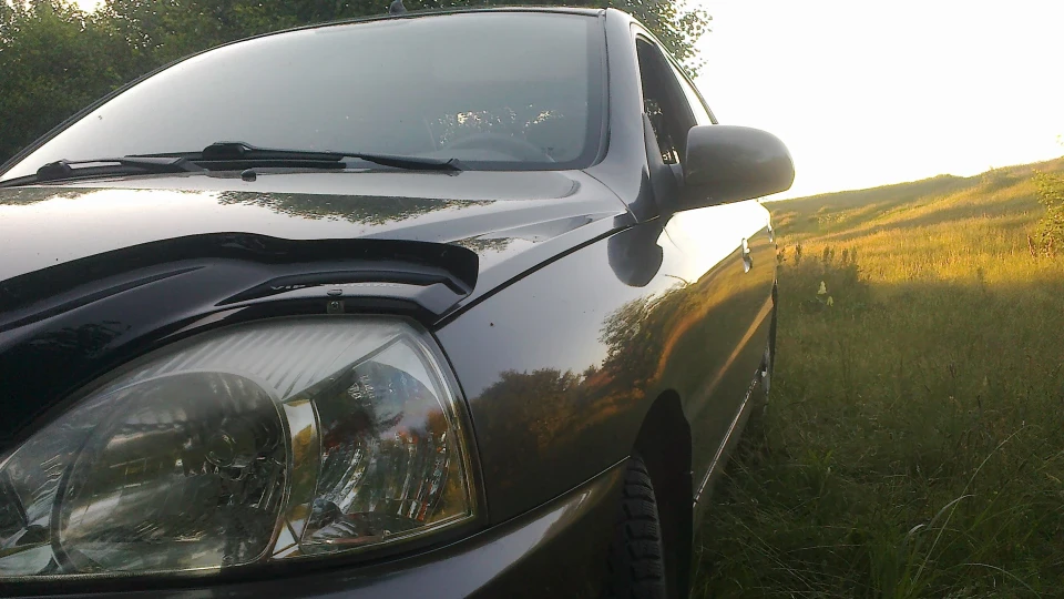 KIA Rio gray wolf 3
