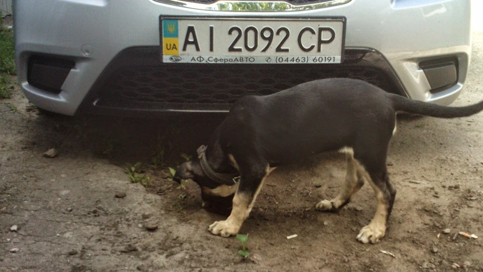 KIA Rio моя #ЛАСТІВКА# 2