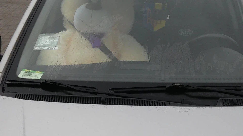 KIA Rio моя #ЛАСТІВКА# 4
