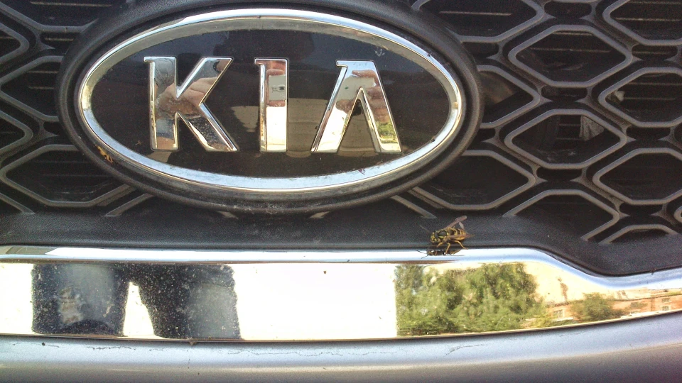 KIA Rio моя #ЛАСТІВКА# 5