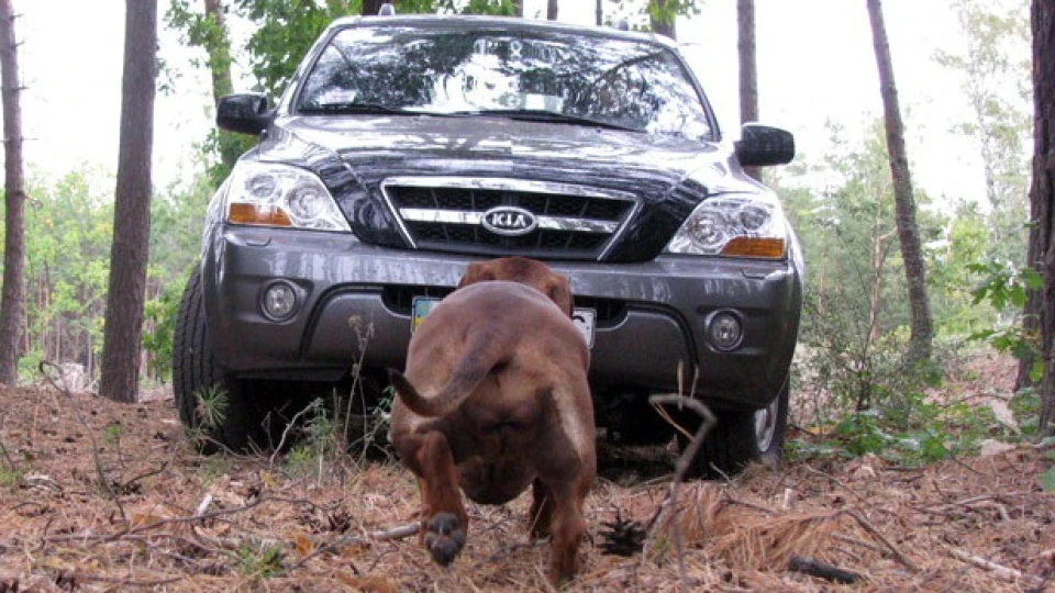 KIA Sorento RICK 4