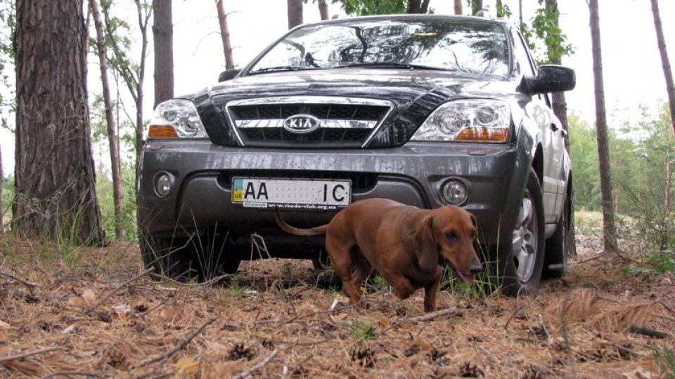 KIA Sorento RICK 5
