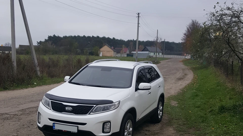 KIA Sorento White bear 2