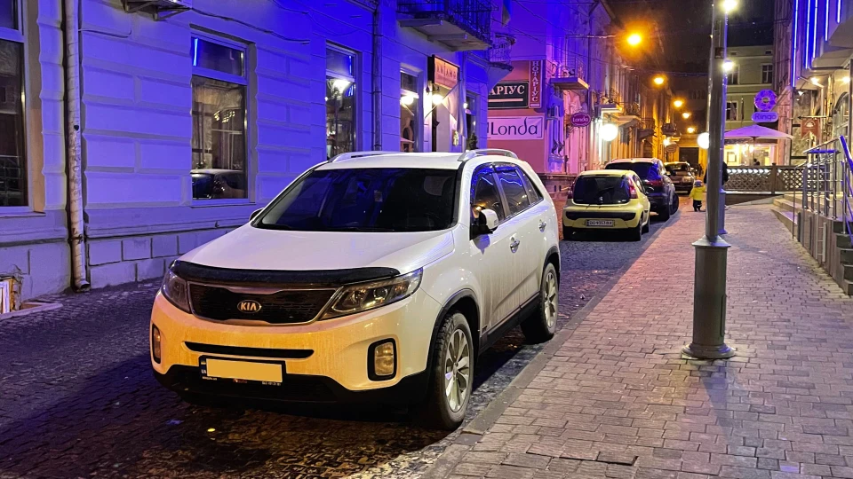 KIA Sorento White bear 3