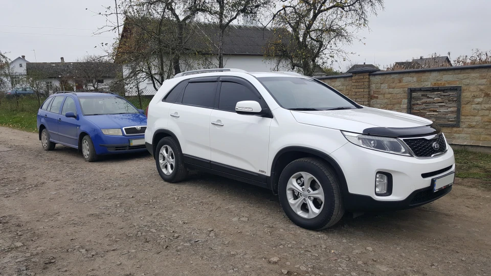 KIA Sorento White bear 4