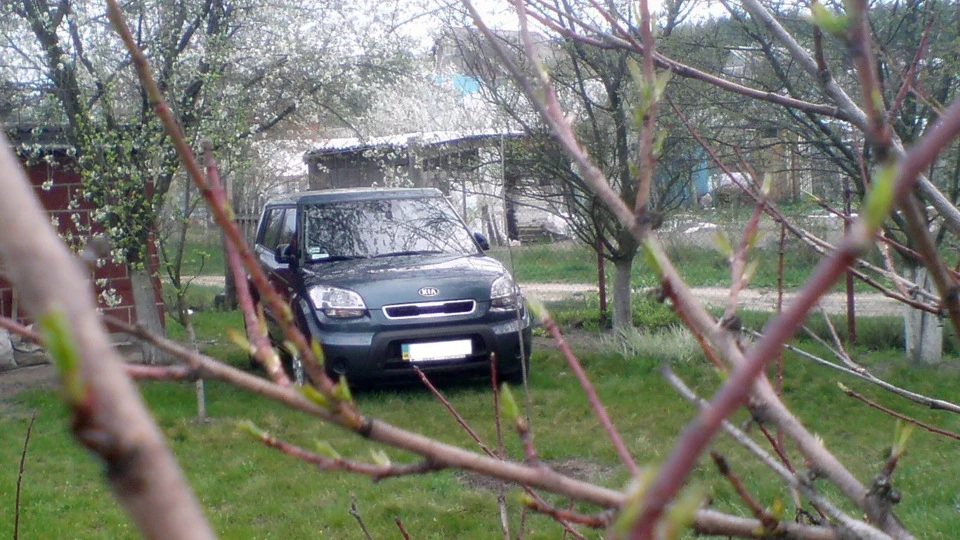 KIA Soul "World Soul" 4