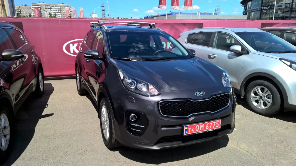 KIA Sportage Hippopotamus