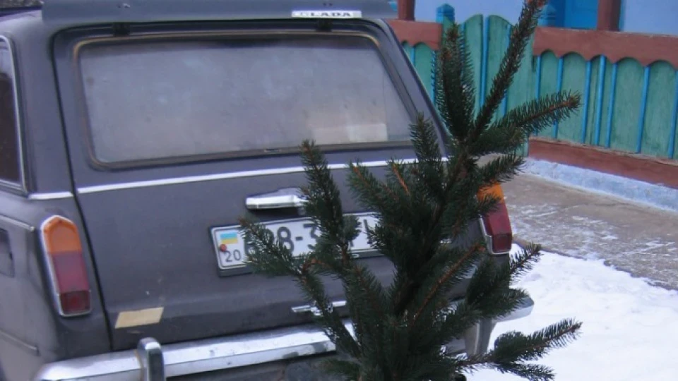 Lada 2102 коричневий звір 2