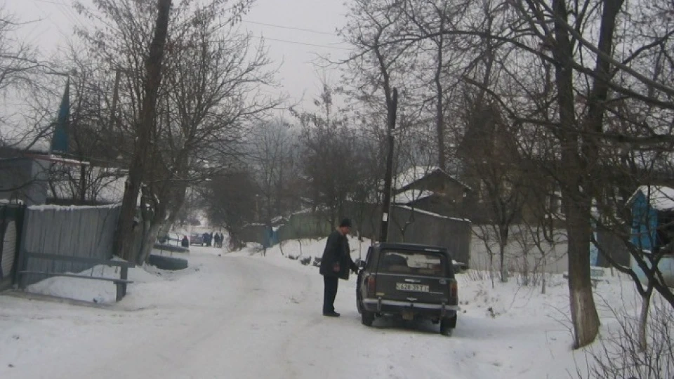 Lada 2102 коричневий звір 5