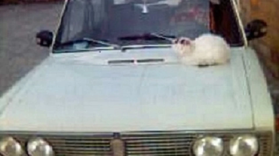 Lada 2103 2
