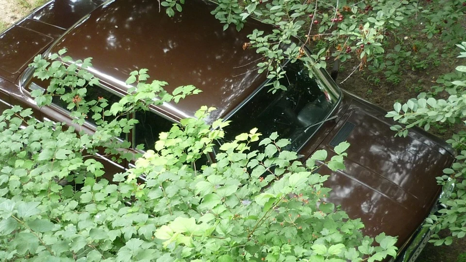 Lada 2103 Лада кольору шоколаду 2