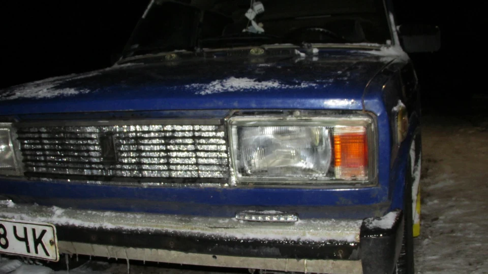 Lada 2105 ЛІСОВИК 3