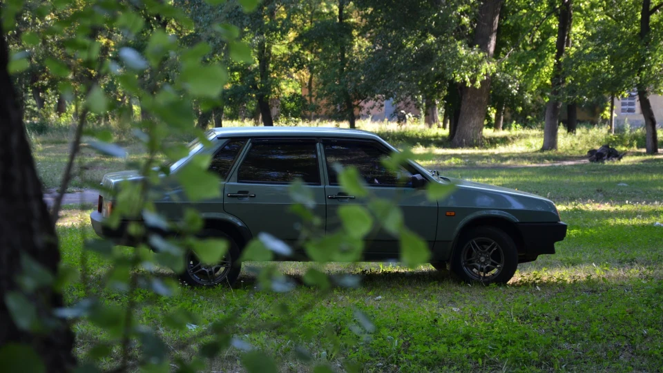 Lada 21099 Бамбук 3
