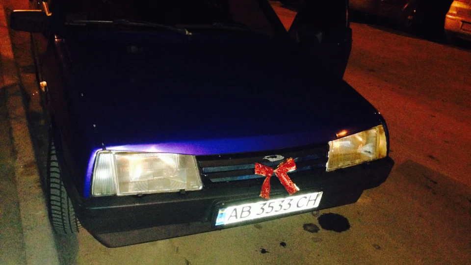 Lada 21099 Домашнє звірятко 3