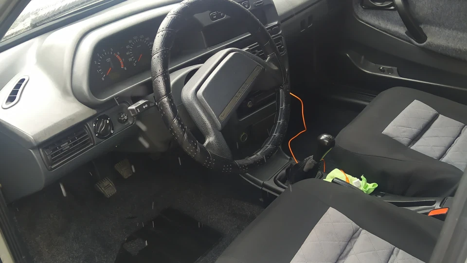 Lada 21099 graues Biest 2