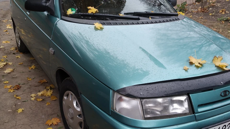 Lada 2110 Афаліна 421 2