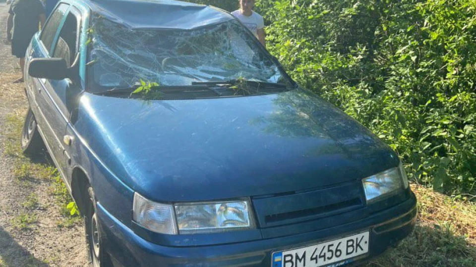 Lada 2110 Синій металік 3