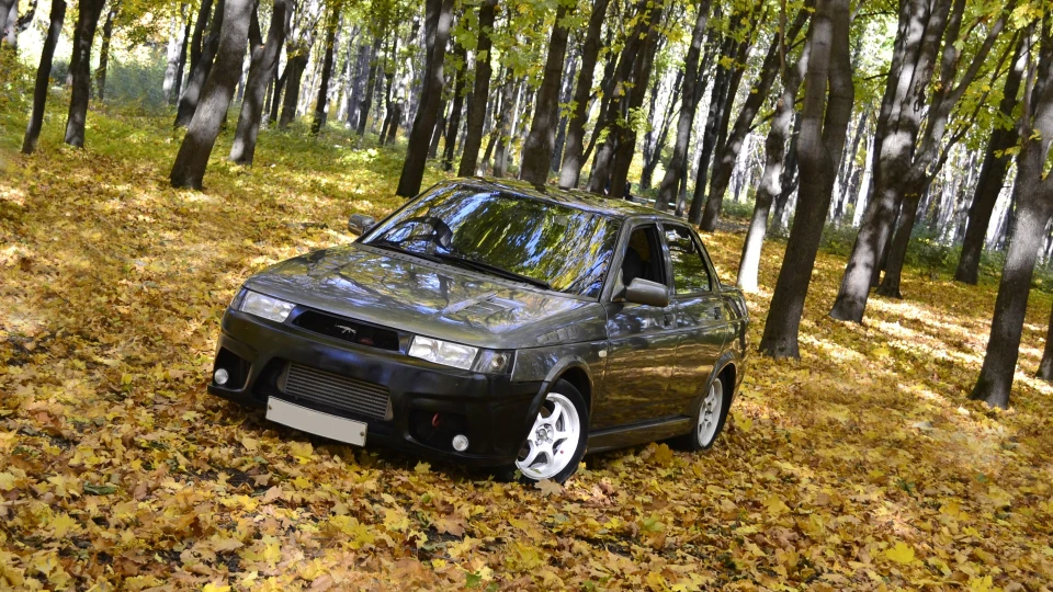 Lada 2110 Хижак 5