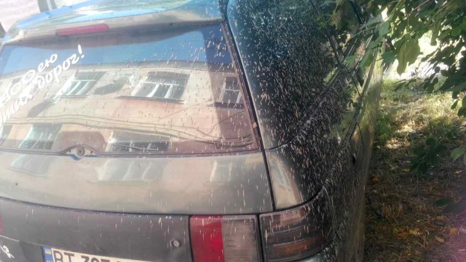 Lada 2111 Зле атмо 2