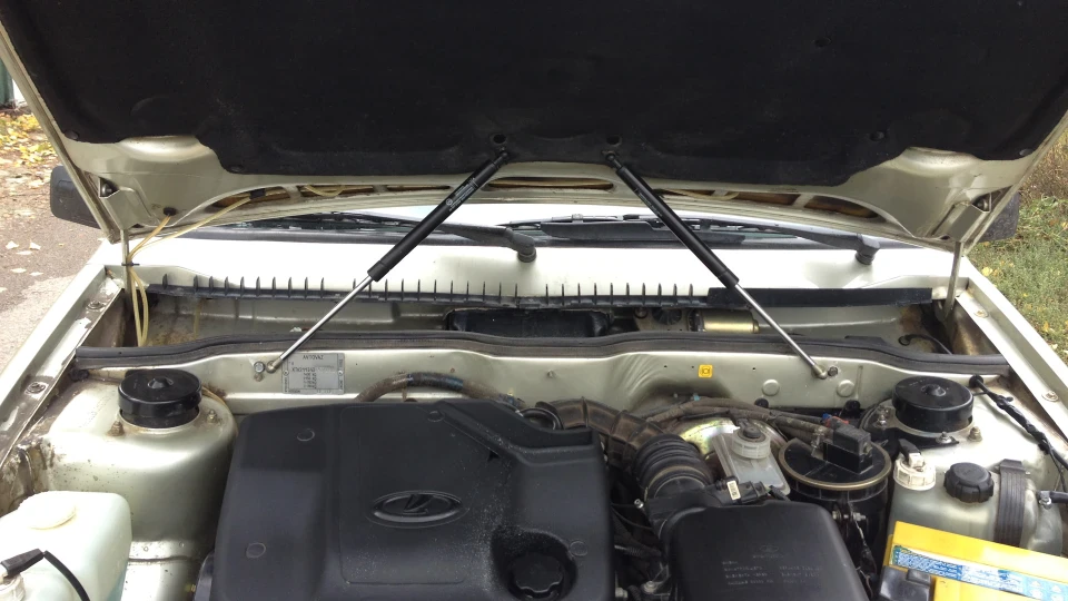 Lada 2113 1,6 л 8 кл.Нефертіті 2