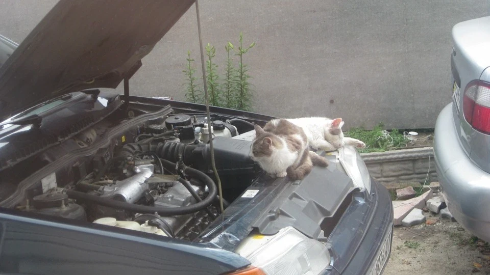 Lada 2115 ПЯТО ٩(●•)۶ 3