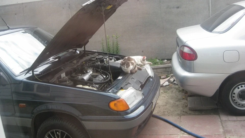 Lada 2115 ПЯТО ٩(●•)۶ 4
