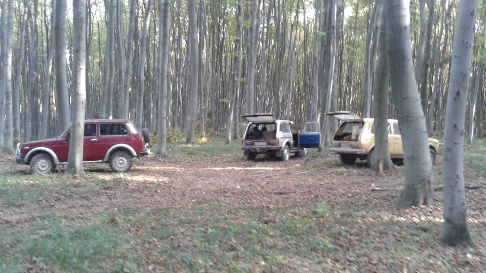 Lada 4x4 3D 5