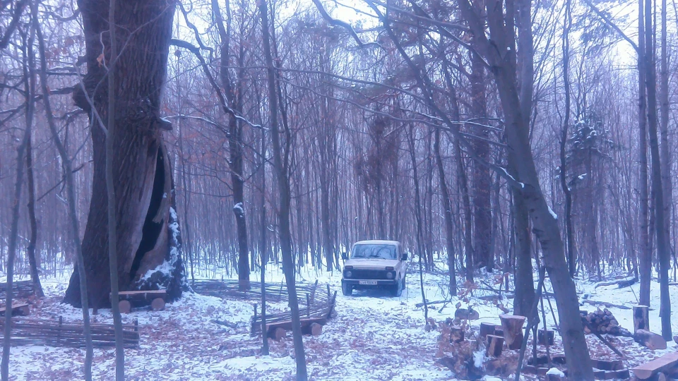 Lada 4x4 3D 4