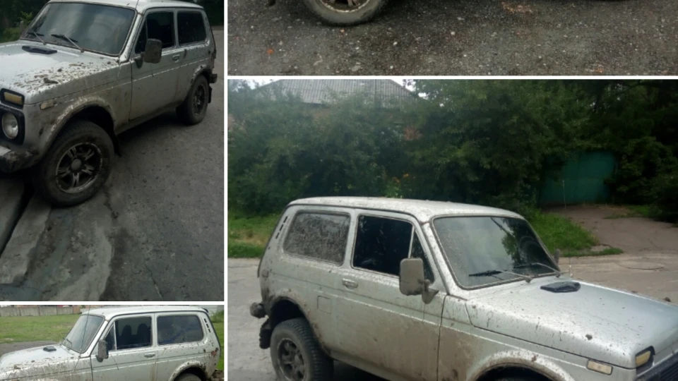 Lada 4x4 3D 4
