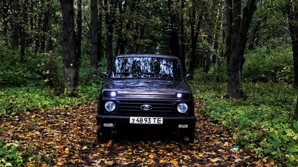 Lada 4x4 3D Аngry bear🐻 5