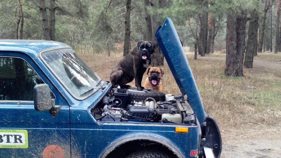 Lada 4x4 3D Боксеромобіль 4