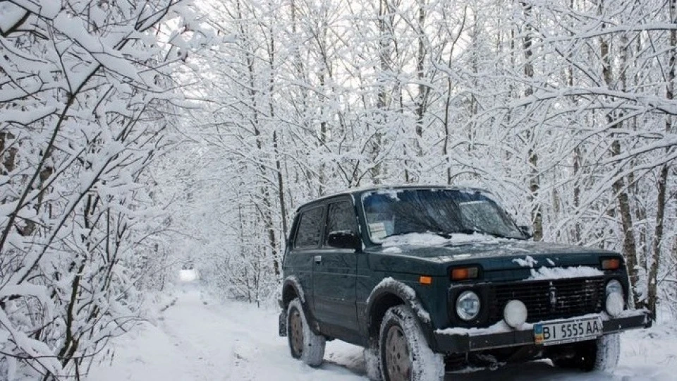 Lada 4x4 3D Форестер D 2