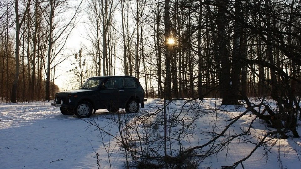 Lada 4x4 3D Форестер D 3