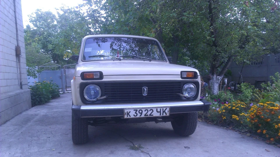 Lada 4x4 3D Блакитноокий біж 4