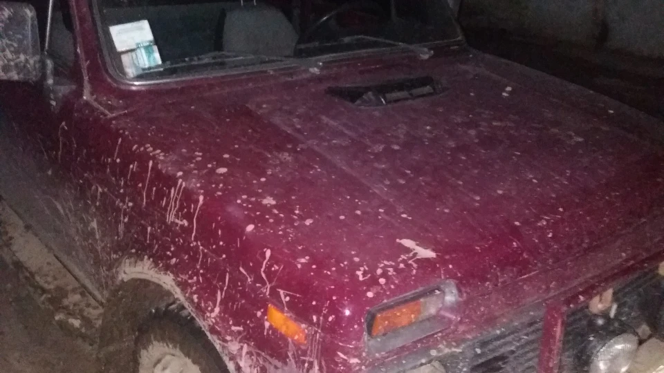 Lada 4x4 3D Червоний дракон 2