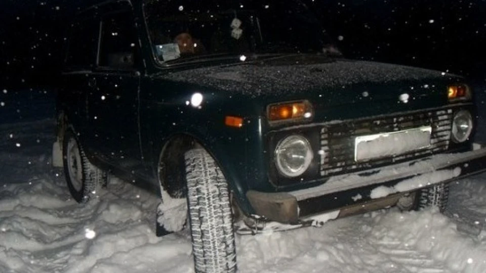Lada 4x4 3D ПОВНИЙ СТІК* 5