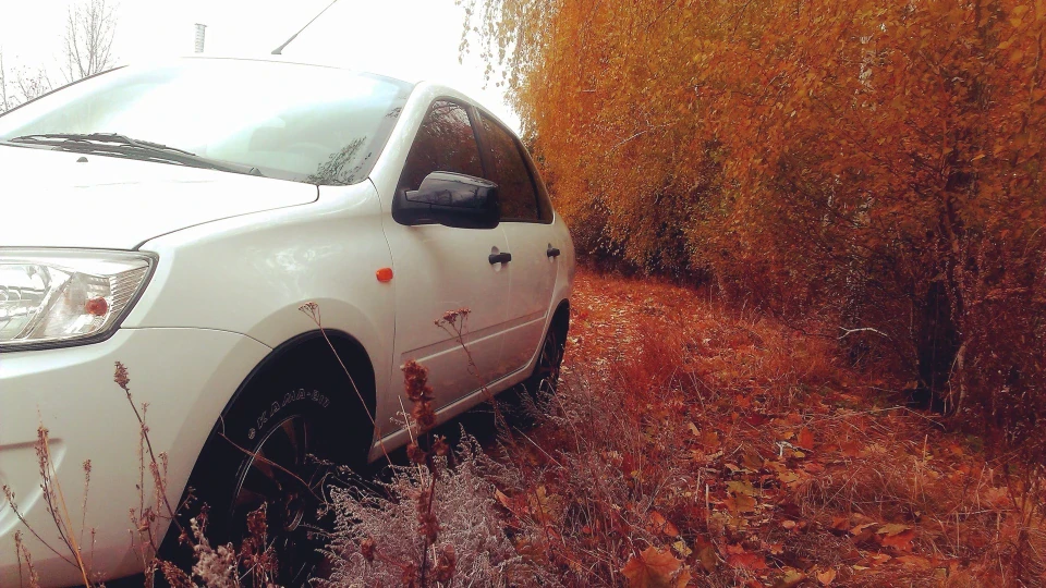 Lada Гранта Крістін 3