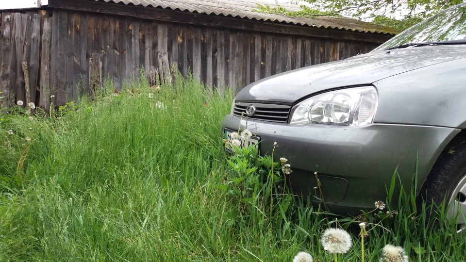 Lada Калина Універсал Колір Совіньйон