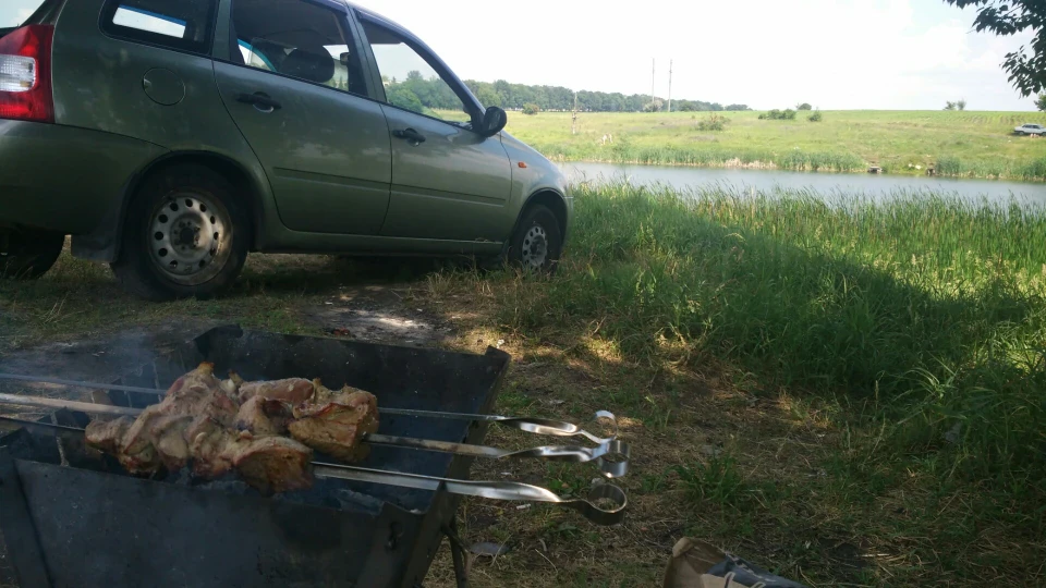 Lada Калина Універсал Оливка