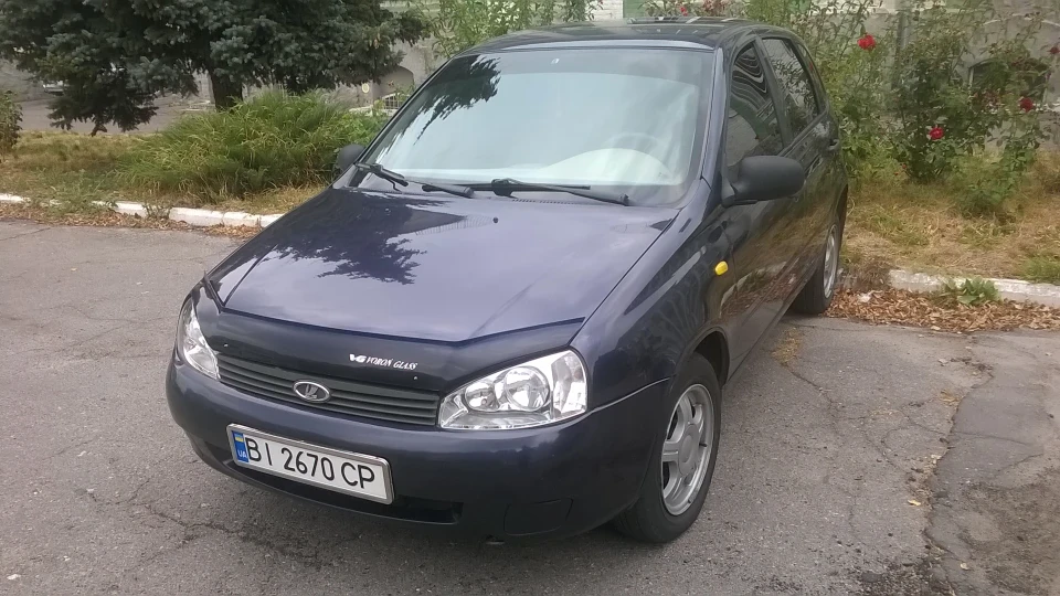 Lada Калина Хетчбек Blueberries;) 2