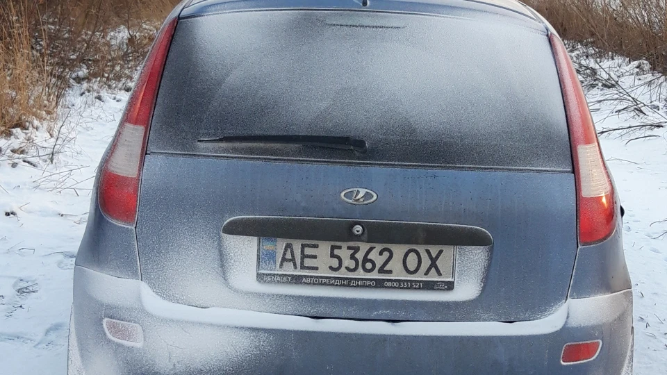 Lada Калина Хетчбек Ягідка з гіркуватістю. 2