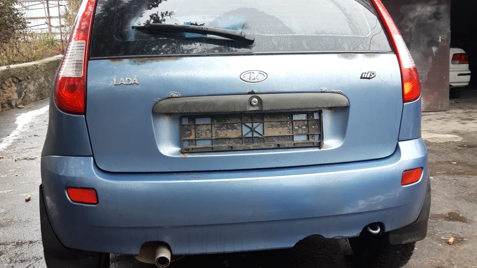Lada Калина Хетчбек Ягідка з гіркуватістю. 3