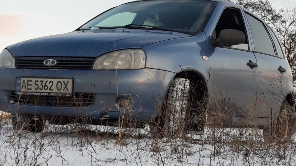 Lada Калина Хетчбек Ягідка з гіркуватістю. 4