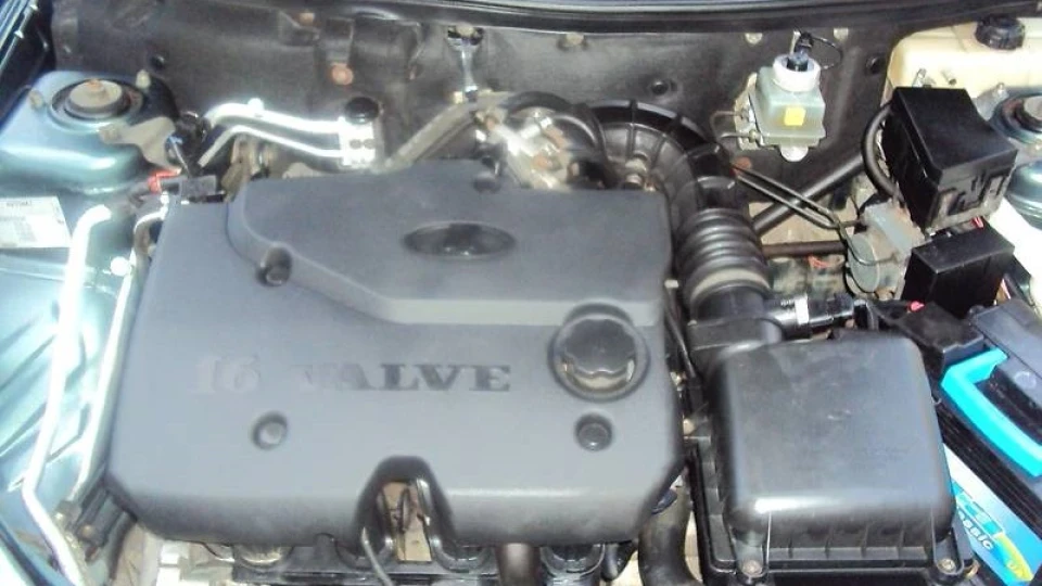 5567 5