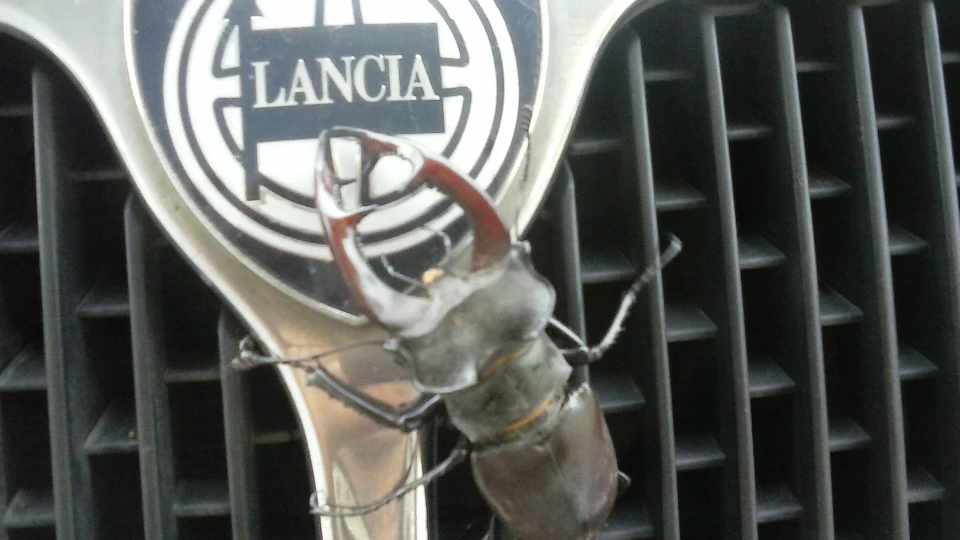Lancia Dedra 1,8 2